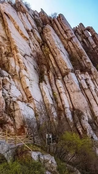 1-day Tour to Songshan Shaolin Scenic [Private Group of 1-6 with Dedicated Vehicle & Guide + Martial Arts Show]