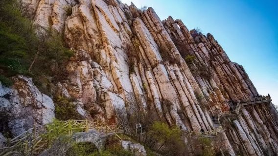 1-day Tour to Songshan Shaolin Scenic [Private Group of 1-6 with Dedicated Vehicle & Guide + Martial Arts Show]