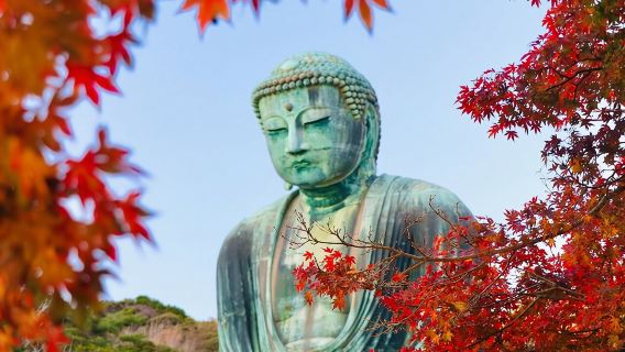 Desde Tokio: Excursión de un día en autobús a Kamakura y Enoshima