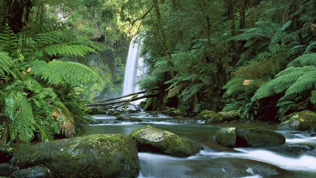メルボルン発 逆走グレート・オーシャン・ロード 英語ワンデーツアー