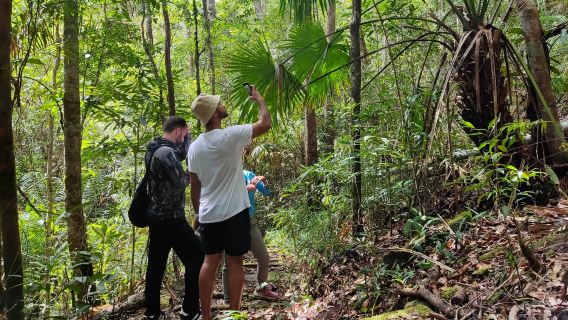 Langkawi SkyTrail Trekking (Beginner) + SkyCab & SkyBridge - Share Tour Option