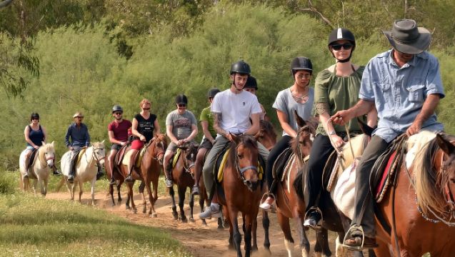 Horseback Riding Tour in the Taurus Mountains with Roundtrip Transfer from Alanya