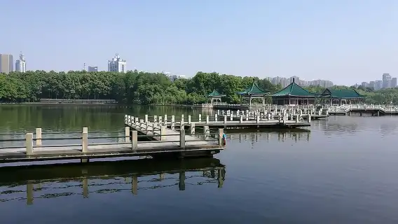 Private tour to Wuhan Yellow Crane Tower Donghu lake Mo Mountain