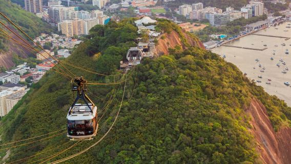 Rio de Janeiro half-day tour · Christ the Redeemer (by minibus) + Sugarloaf Mountain