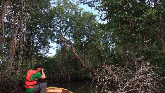 Private Proboscis Monkey & Water Village Tour