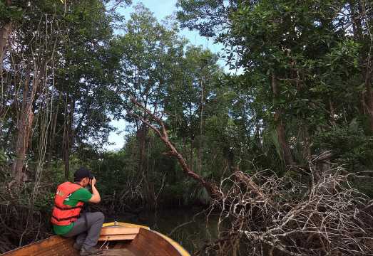 Private Proboscis Monkey & Water Village Tour