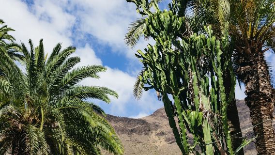 Maspalomas