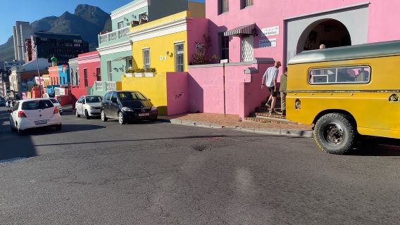 Città del Capo: escursione privata di mezza giornata a Lion Head