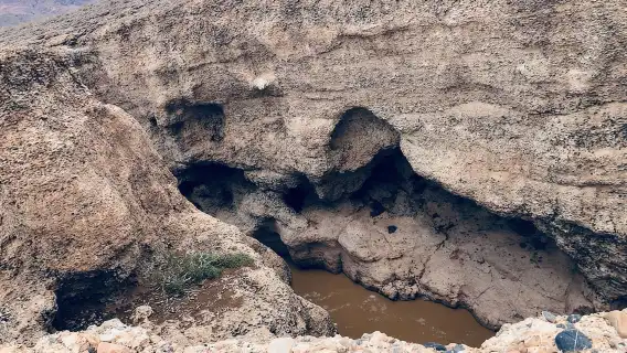 Sossusvlei: ทริปวันเดียว