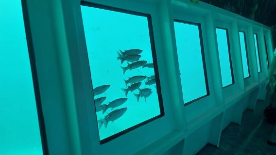 Từ Marmaris: Chuyến đi trong ngày bằng tàu ngầm bán đáy kính