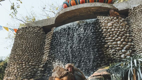 Swayambhunath: Sonnenuntergangs- und Stadtlichter-Tour - Privat/Gruppe