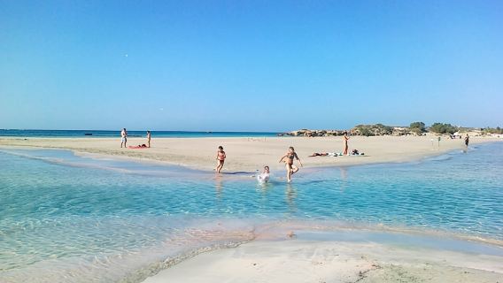 From Rethymno & Chania: Elafonisi Island Day Tour by Bus