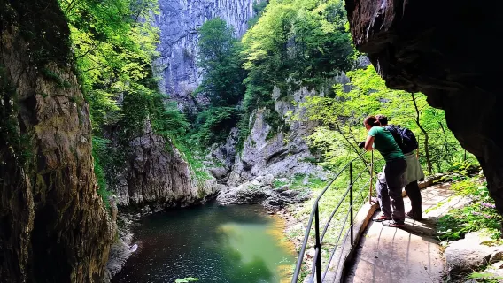 Dari Ljubljana: Gua Škocjan UNESCO dan Perjalanan Sehari Penuh Piran