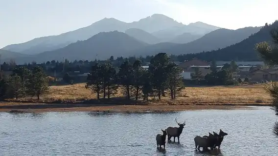 Denver: Rocky Mountain National Park Tour with Picnic Lunch