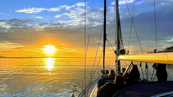 Oporto: Encantador crucero en velero con vino de Oporto y opción al atardecer