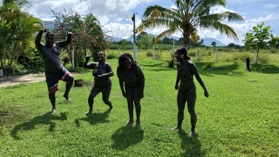 NADI: Tifajek Mud Pool and Hot Spring Natural Spa Tour