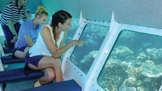 Cairns: Tur Sehari Penuh dengan Katamaran Berlayar di Great Barrier Reef