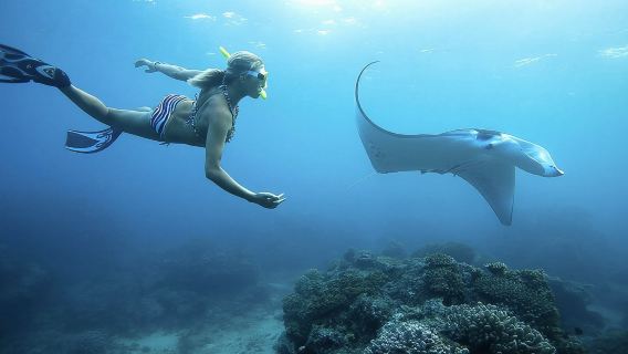 Lawatan Sehari Snorkeling 4 Tempat di Bali Nusa Penida dan Pulau Barat