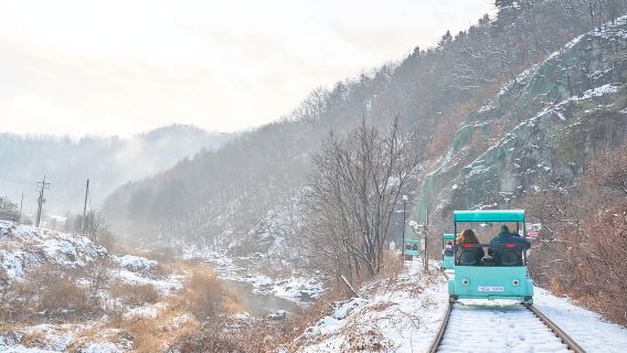 Seul: Alpaca World e Nami Island (con giardino/Railbike)