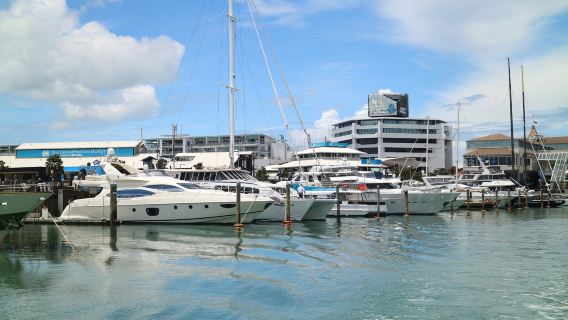 新西蘭奧克蘭海灣大橋-維多利亞山-德文港 可定制南北島包車