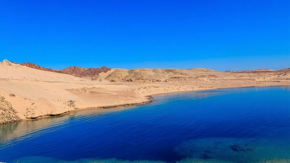 Private Half Day Tour By Minibus To Ras Mohammed National Park 