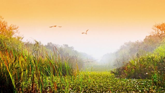 美國邁阿密-大沼澤地國家公園一日遊【中文包車自由行】