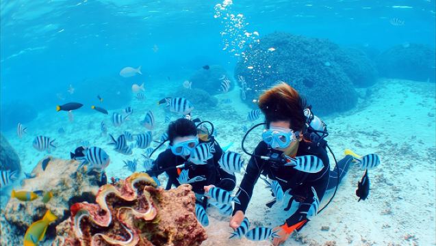 Okinawa Blue Cave Specialty Shop Blue Ocean