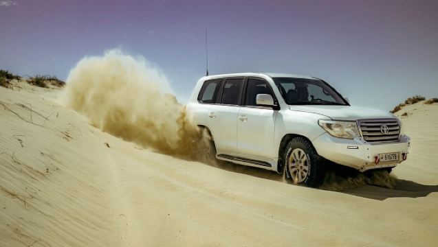 City Tour with Dhow Cruise and Desert Safari Adventure - Private Tour