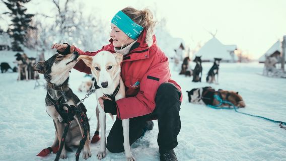 Husky Sledding Self-Drive Adventure in Tromso