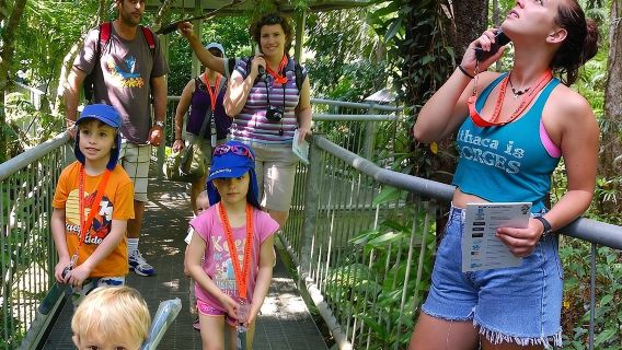 Daintree Discovery Centre Family Pass Ticket