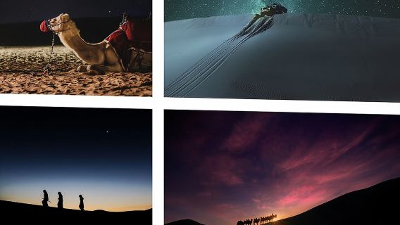 Doha Night Desert Safari Camel Ride Dune Bashing with Transfer