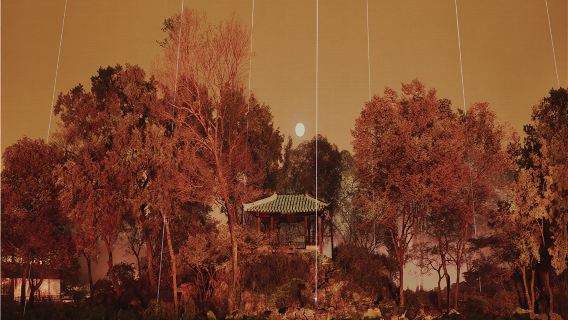 Shanghai-Suzhou Private Guided 1-Day Tour: Humble Administrator's Garden, Shantang Street, Tiger Hill, Panmen Gate