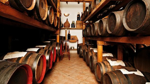 Cavedoni Balsamico-Essig-Tour: Die älteste Balsamico-Essig-Produktion in Modena