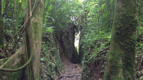 Kembara Gunung Berapi Mombacho dan Pengembaraan Ziplining dari San Juan del Sur