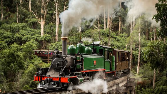 Recomendado #¡AceptaOrdenUrgente! Recorrido de medio día en el Tren de Vapor Puffing Billy con traslados (conductor y guía de habla china)