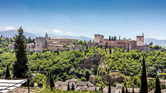 Alhambra official skip-the-line small group guided tour with full access