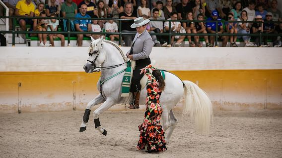 Andalusian horse flamenco show in Torremolinos