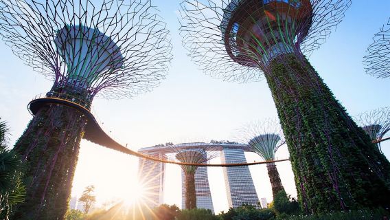 SingaporeTours