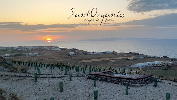 SantoriniExperiences