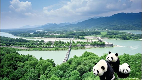 Guida in inglese: Tour giornaliero di Dujiangyan e Panda Valley