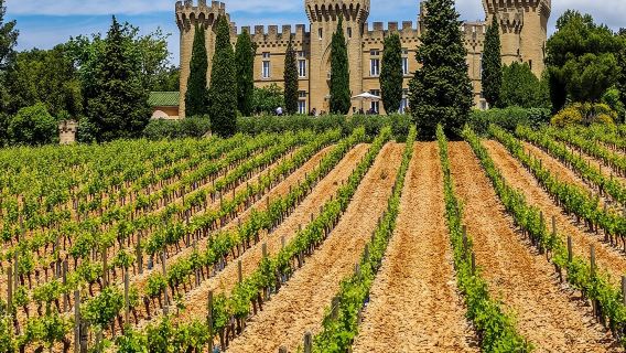 Tour privado de cata de vinos Châteauneuf du Pape desde Marsella
