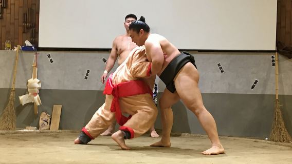 the SUMO show with Dinner