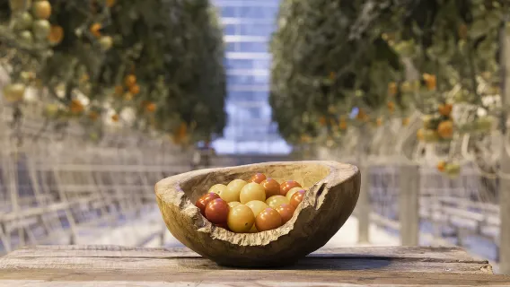 Iceland Golden Circle, Crater Lake, and Tomato Farm 1-day tour|Small group city transfers