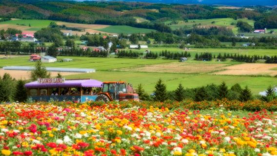 日本北海道森林精靈陽台一日遊/行程可調-可客製多日遊