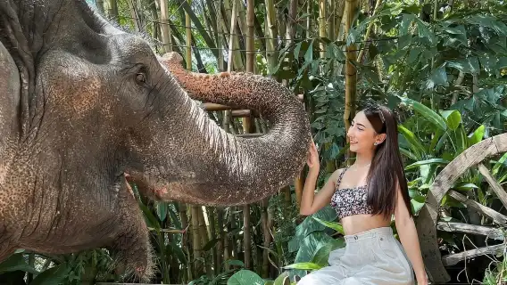 芭堤雅大象村+芭提雅旺昌咖啡半日遊【表演|可選騎大象