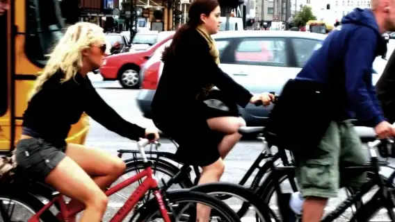 Copenhagen Small Group Biking Tour