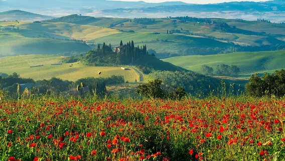 Roma: Gita di un giorno in Toscana e Montepulciano con pranzo e degustazione di vini