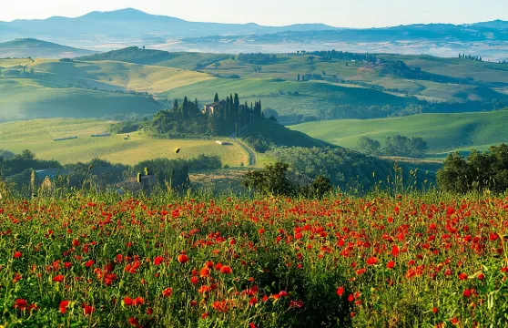 羅馬：托斯卡納及蒙特普爾恰諾一日遊（含午餐及品酒）