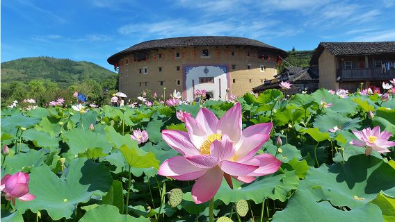 漳州旅遊南靖土樓田螺坑四菜一湯+雲水謠【8人頭等艙】一日遊