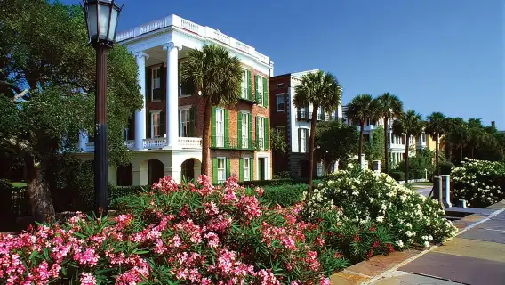 Charleston See-It-All Sightseeing Bus Tour